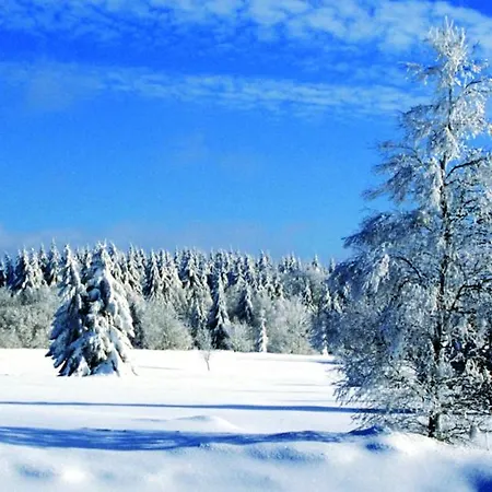 Gite-Ardennes & Wellness - Ovifat - Coquelicots 7 Pers Holiday home *