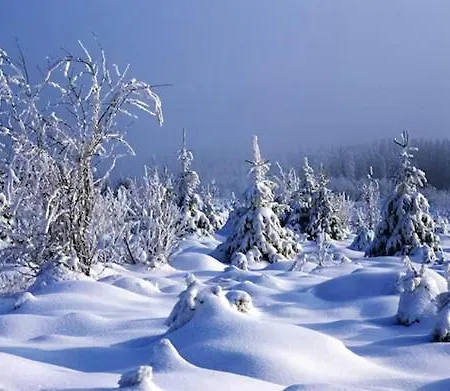 En Ardennes & Wellness - - Coquelicots & Orchidees Σπίτι διακοπών