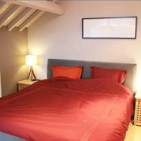 Gites En Ardennes & Wellness - Ovifat - Orchidees * Ovifat