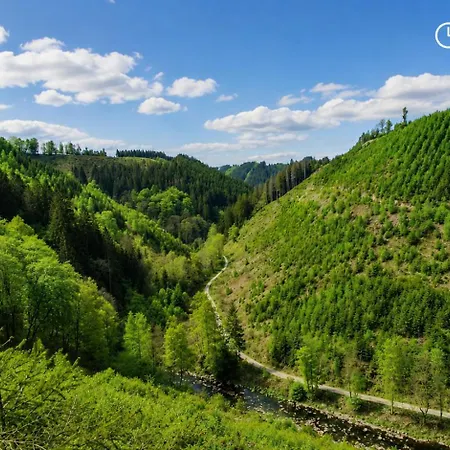 Nyaraló Gites En Ardennes & Wellness - Ovifat - Orchidees